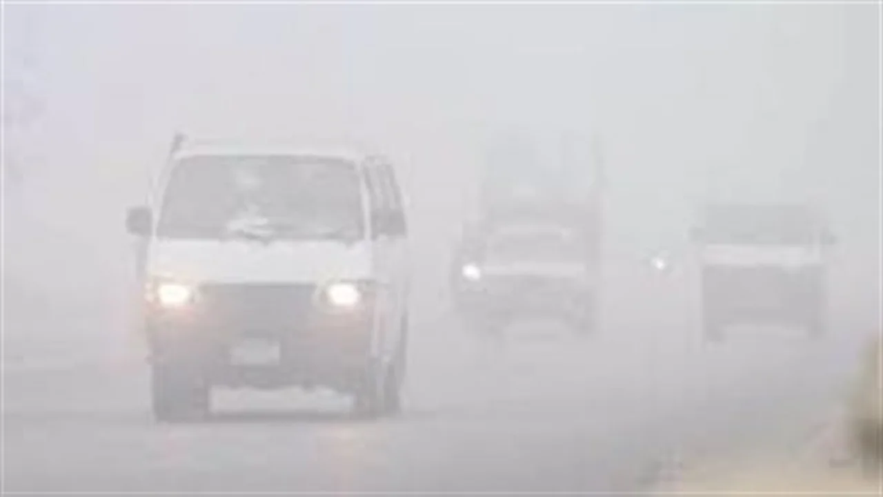 تحذير للمزارعين.. شبورة كثيفة تصل لحد الضباب وسط أجواء شديدة البرودة ليلًا